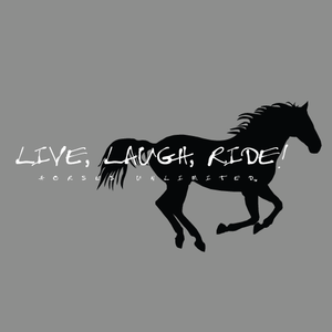 (MBHD7574SG)  "Laugh, Ride" Western Hoodie - Sport Gray