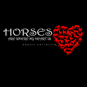 (MBHD7577) "Heart Is" Western Horses Hoodie