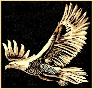 (PW-AFEF) "Eagle Flight" Rustic Northwoods Area Rug (5' 1-1/2" x 6' 10")