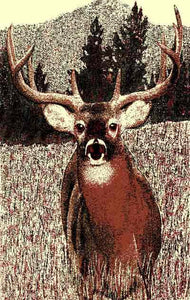 (PW-AFELK) "Elk" Rustic Northwoods Area Rug (5' 1-1/2" x 6' 10")