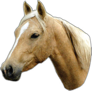(RE220) Palomino Horse Auto Magnet