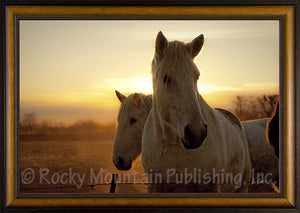 (RMP-DB2023E) "Paired Up" Western Framed Print
