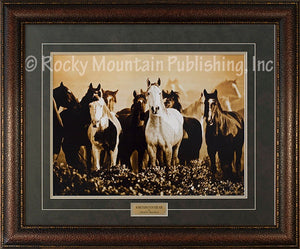 (RMP-ST050) "Something's in the Air" Western Horse Framed & Matted Print