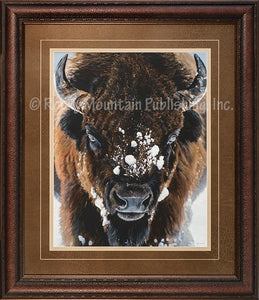 (RMP-TI001) "Winter Warrior" Western Buffalo Framed Print