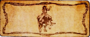 (RWBA9137A3) "Bull Rider" Western Runner 24" x 60"