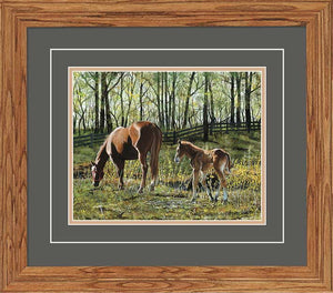 "Tagging Along" Horses Small Framed Art Print