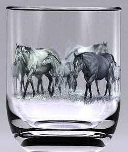 (TG2109) "Young & Restless" Western 2-Piece Glassware Set