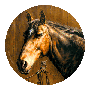 (THS-TSGG19) "Horse Portrait" 4-Piece Western Sandstone Coaster Set