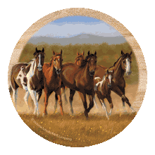 Load image into Gallery viewer, (THS-TSVZ2) &quot;First Run&quot; Western Sandstone Coaster Set