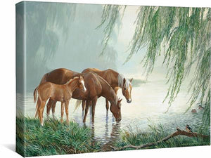 Willow Pond– Horses Gallery Wrapped Canvas